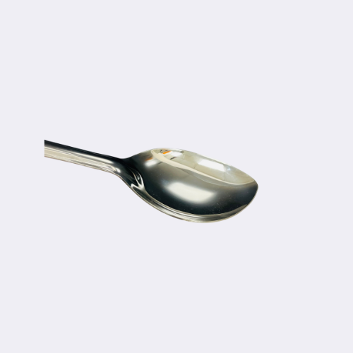 Stainless Steel Basting Serving Spoon 12