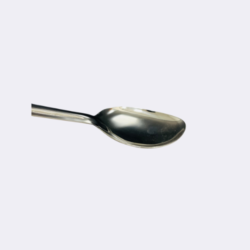 Stainless Steel Basting Serving Spoon 12.5