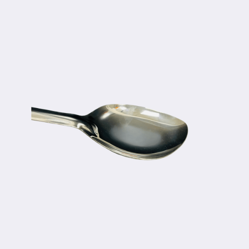 Stainless Steel Basting Serving Spoon 13.5