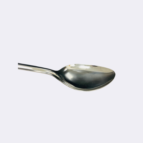 Stainless Steel Basting Serving Spoon 16