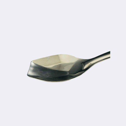 Stainless Steel Biryani Serving Spoon 9