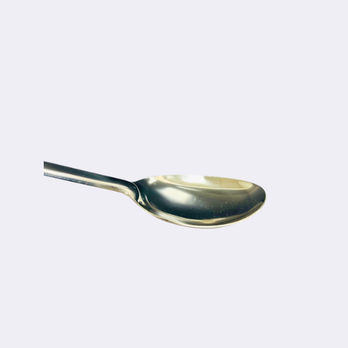 Vinod Stainless Steel Ergo Basting spoon With Plastic Handle 14