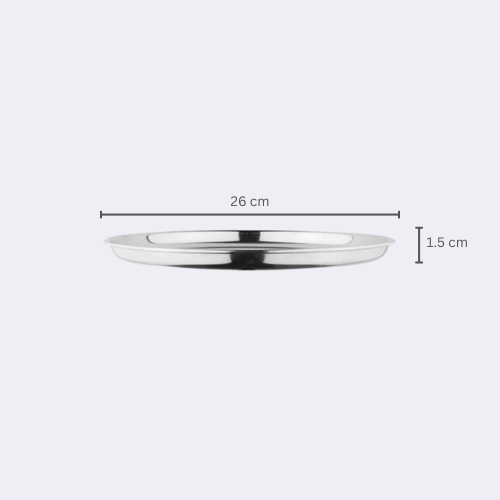 Stainless Steel Chaina Dinner Plate 11